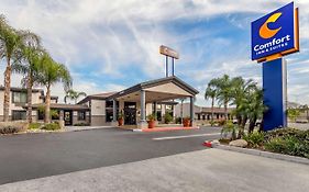 Comfort Inn And Suites Colton